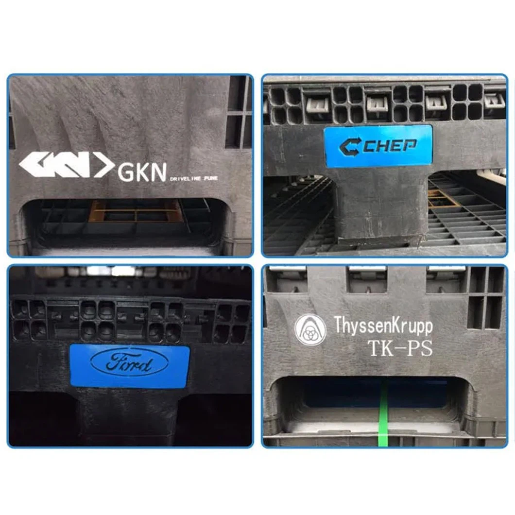 Interior and Exterior Logo / Graphics Printing Interior and Exterior Logo / Graphics Printing